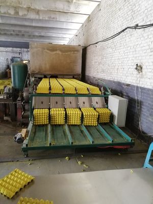 Máquina de bandeja de huevo de última generación para soluciones de embalaje sostenibles