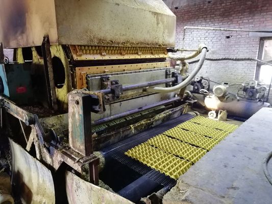 Máquina de bandeja de huevo de última generación para soluciones de embalaje sostenibles